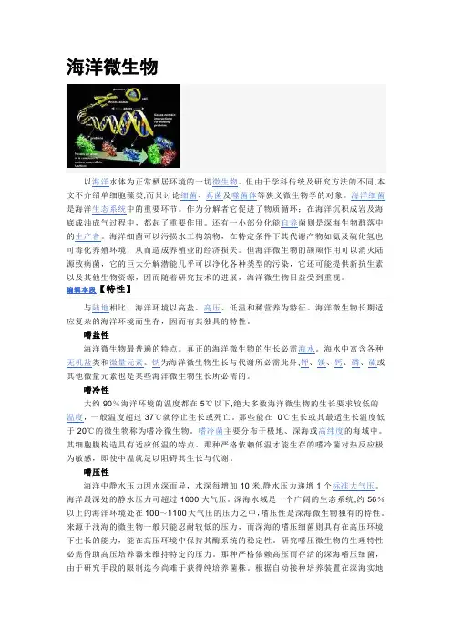 海洋微生物