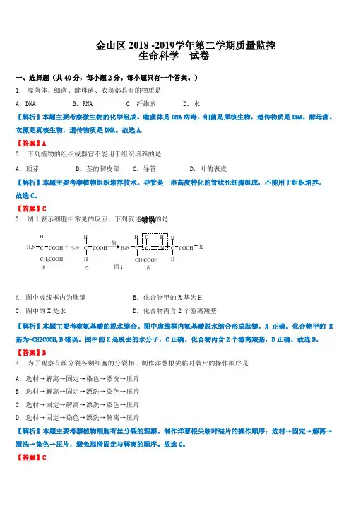 2019年4月上海金山区高三二模生物试卷及详细答案解析、评分标准