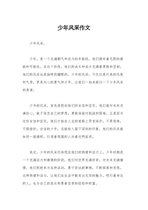 少年风采作文