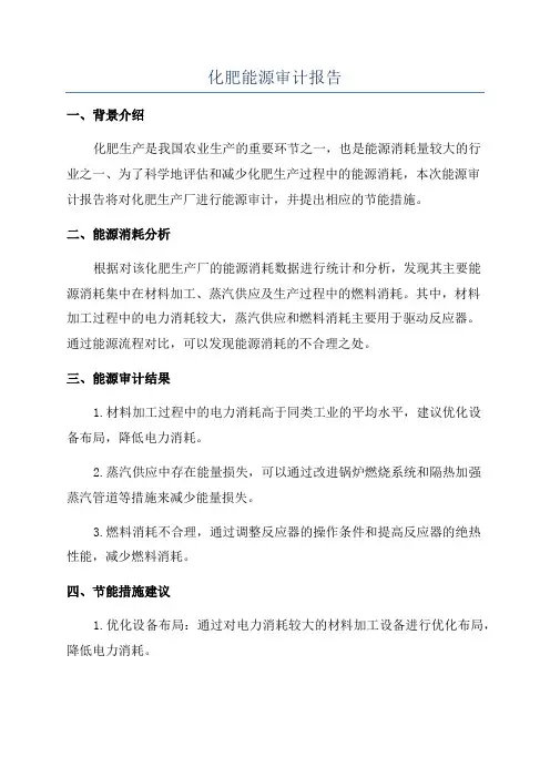 化肥能源审计报告