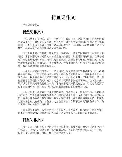 捞鱼记作文