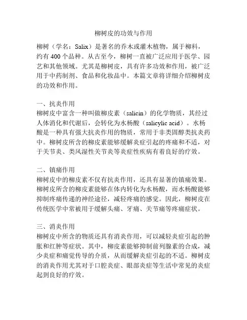 柳树皮的功效与作用