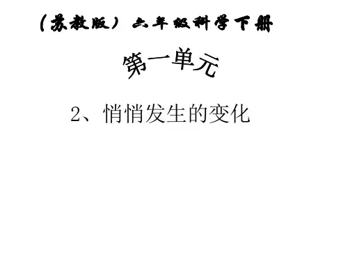六年级下册科学课件1.2悄悄发生的变化苏教版