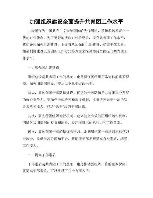 加强组织建设全面提升共青团工作水平