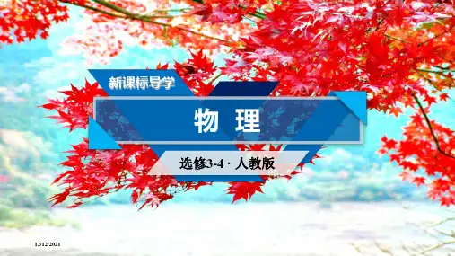 高中物理第十三章光第6节光的偏振课件选修34高二选修34物理课件