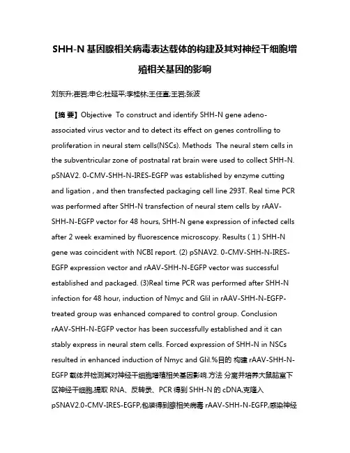 SHH-N基因腺相关病毒表达载体的构建及其对神经干细胞增殖相关基因的影响