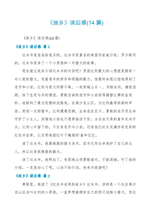 《故乡》读后感(14篇)