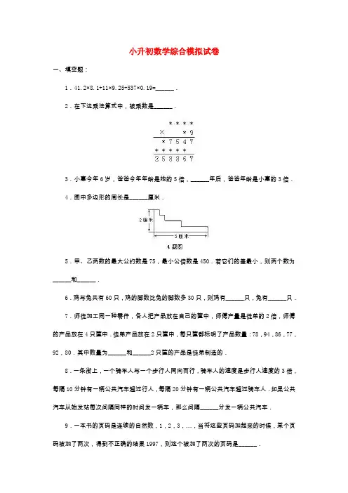 拉萨小升初数学模拟试卷及答案