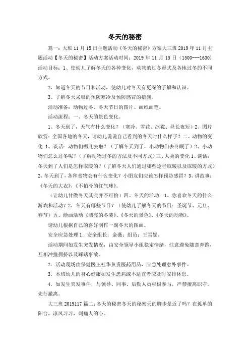 最新-冬天的秘密 精品