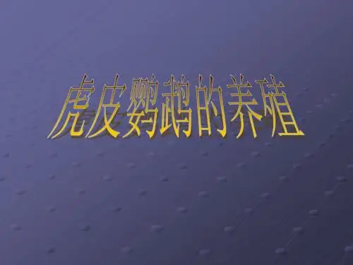 虎皮鹦鹉的养殖