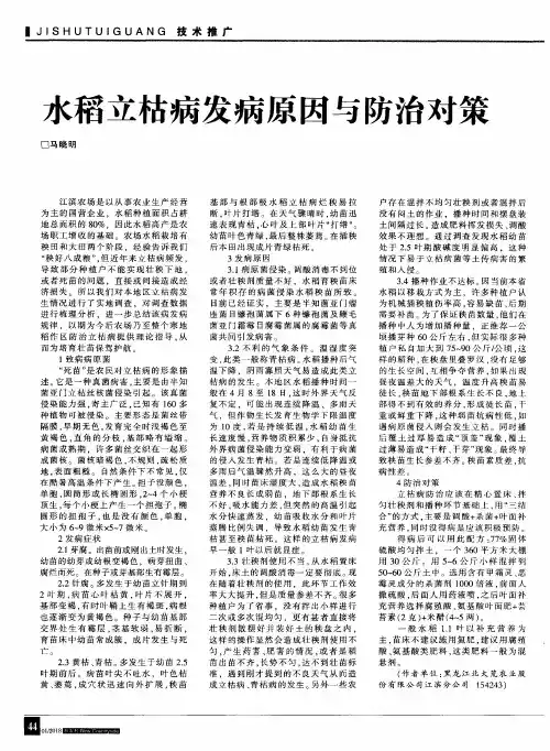 水稻立枯病发病原因与防治对策