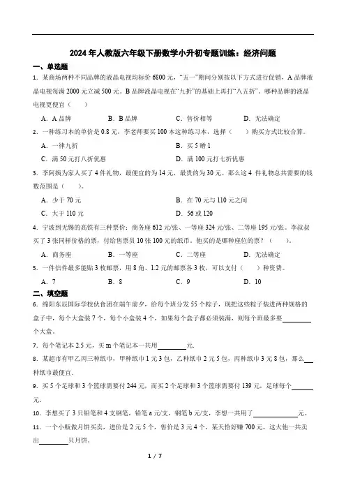 2024年人教版六年级下册数学小升初专题训练：经济问题