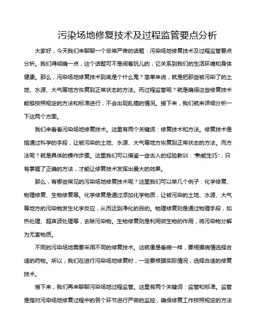 污染场地修复技术及过程监管要点分析