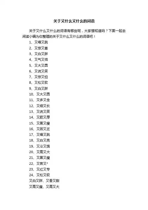 关于又什么又什么的词语