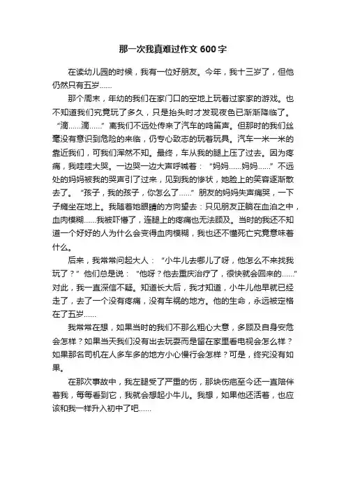 那一次我真难过作文600字