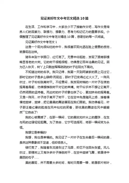 见证美好作文中考范文精选10篇