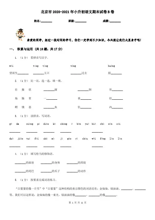 北京市2020-2021年小升初语文期末试卷B卷(考试)