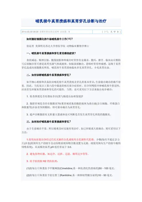 哺乳犊牛真胃溃疡和真胃穿孔诊断与治疗