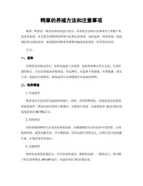 鸭掌的养殖方法和注意事项
