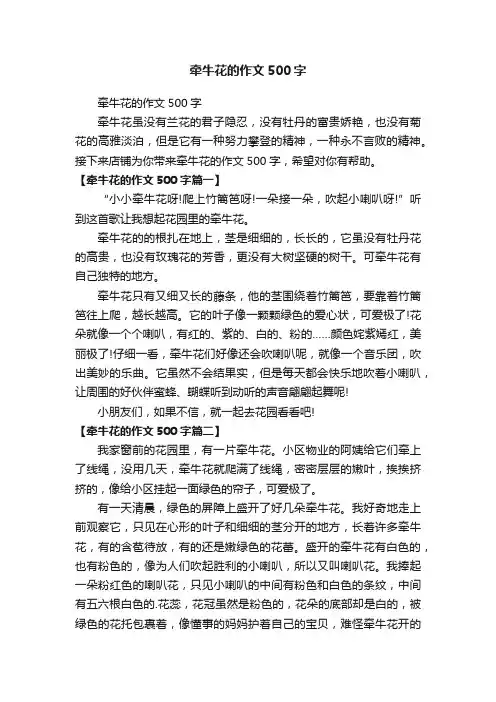 牵牛花的作文500字
