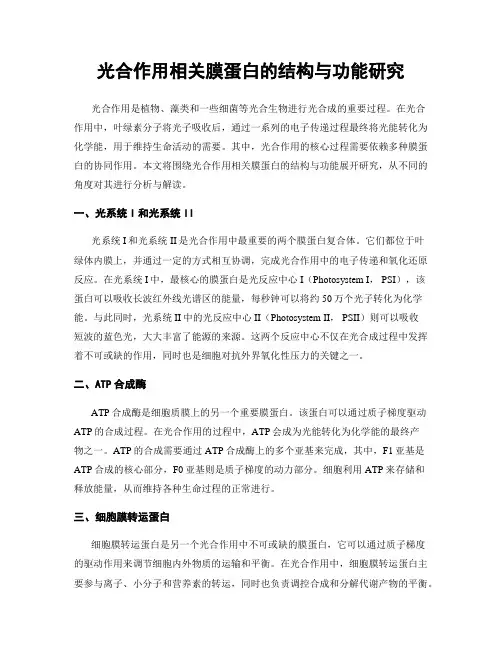 光合作用相关膜蛋白的结构与功能研究