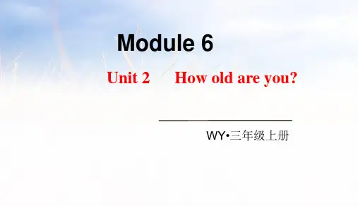 2021年外研版三年级上册英语Module 6 Unit 2 How old are you课件