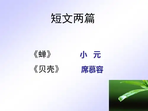 短文两篇·蝉贝壳