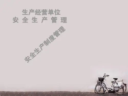 安全生产制度管理  ppt课件
