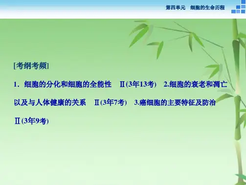 高三生物一轮复习课件 细胞的分化衰老凋亡及癌变(共43张PPT)