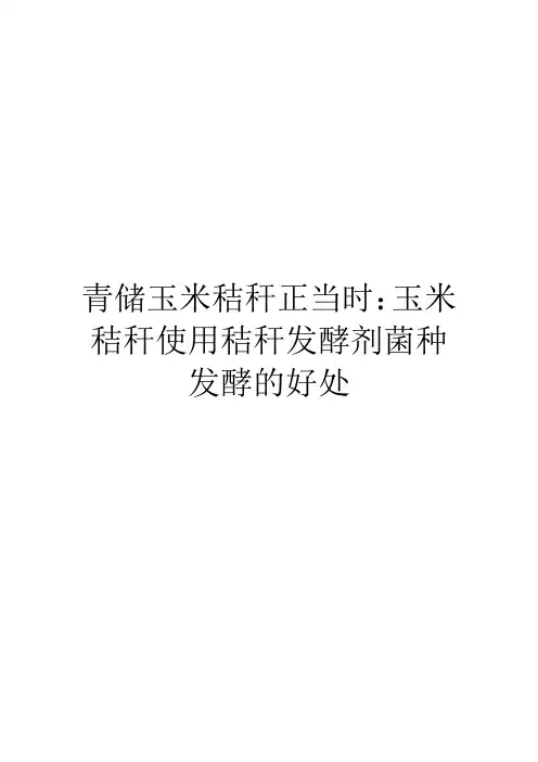 青储玉米秸秆正当时：玉米秸秆使用秸秆发酵剂菌种发酵的好处