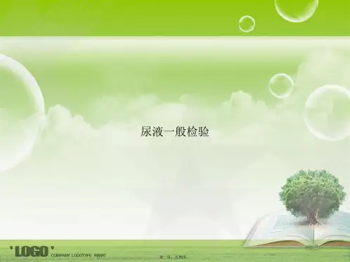 尿液一般检验2讲课文档