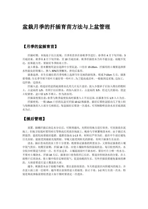 盆栽月季的扦插育苗方法与上盆管理