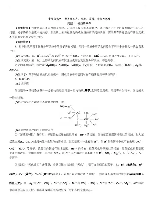 中考化学专题突破4  物质的共存、检验、鉴别、分离与提纯