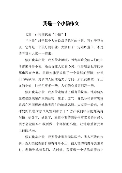 我是一个小偷作文