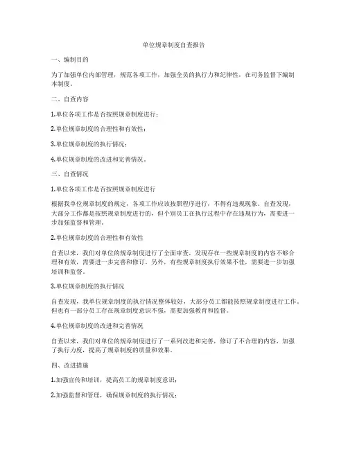 单位规章制度自查报告