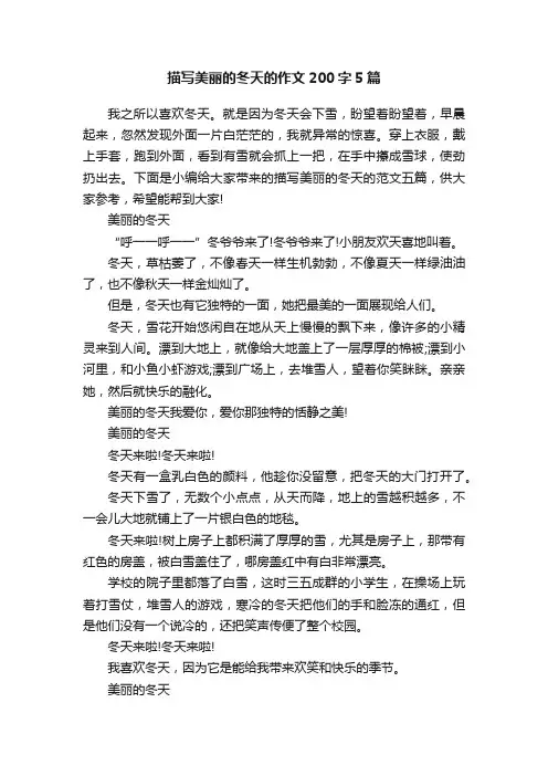 描写美丽的冬天的作文200字5篇