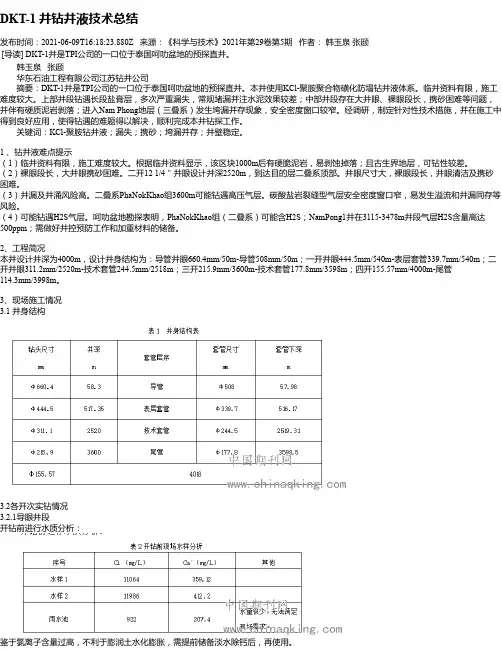 DKT-1井钻井液技术总结