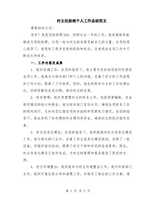 村主任助理个人工作总结范文