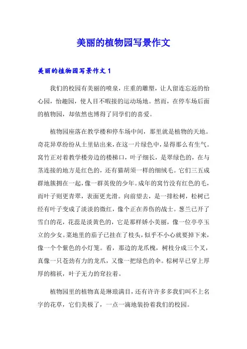 美丽的植物园写景作文