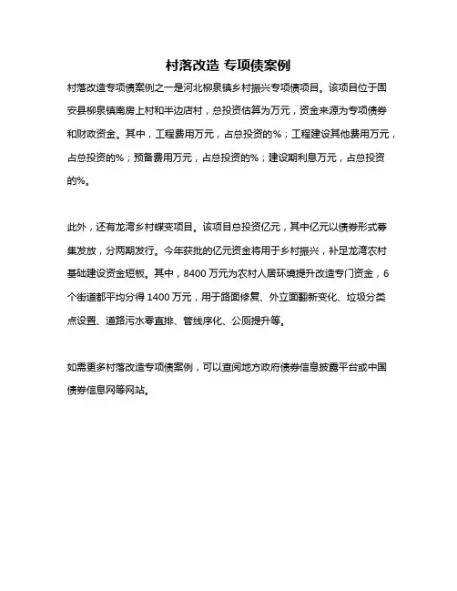 村落改造 专项债案例