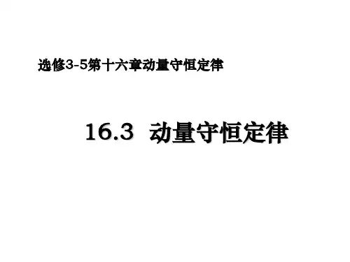 物理选修3-5人教版16.3  动量守恒定律(共21张ppt)