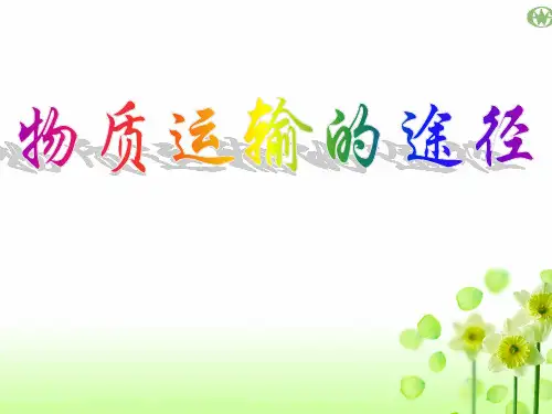初中生物  物质运输的途径1(说课) 济南版精品课件
