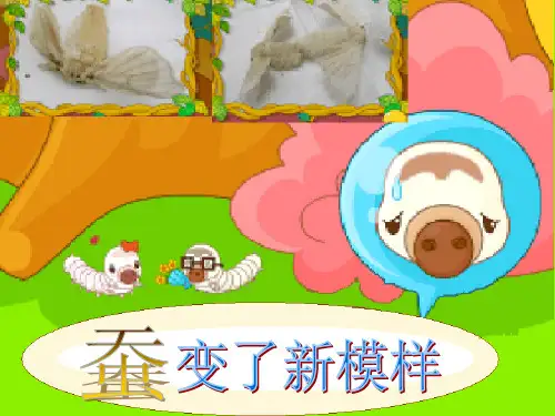 三年级下册科学课件-2.3《蚕变了新模样》 ｜教科版    (共25张PPT)