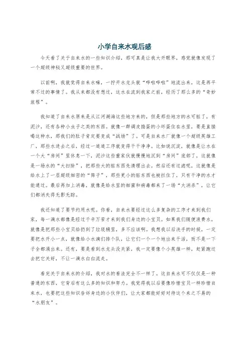 小学自来水观后感