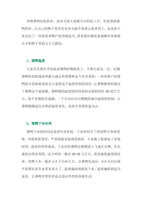 养鸭经验：番鸭的养殖要点