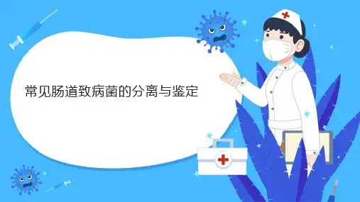 常见肠道致病菌的分离与鉴定