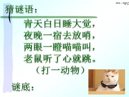 部编本七年级上册语文17《猫》