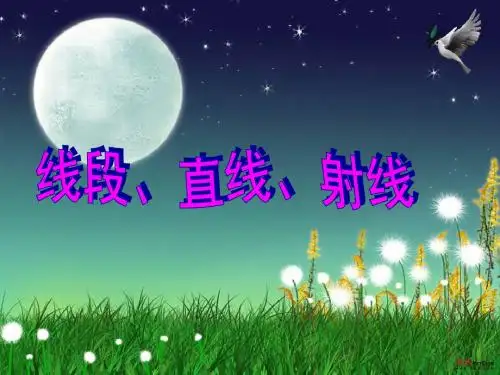 线段、直线、射线