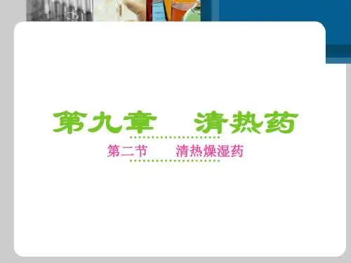 第9章 清热药2-PPT精品文档