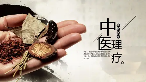中医理疗健康养生ppt模板